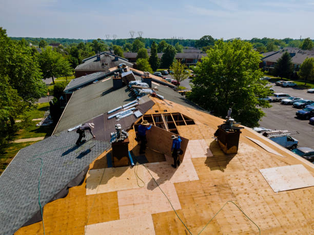 Roof Gutter Cleaning in Riverwoods, IL
