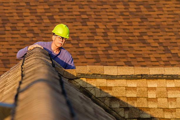 Best Roof Gutter Cleaning  in Riverwoods, IL